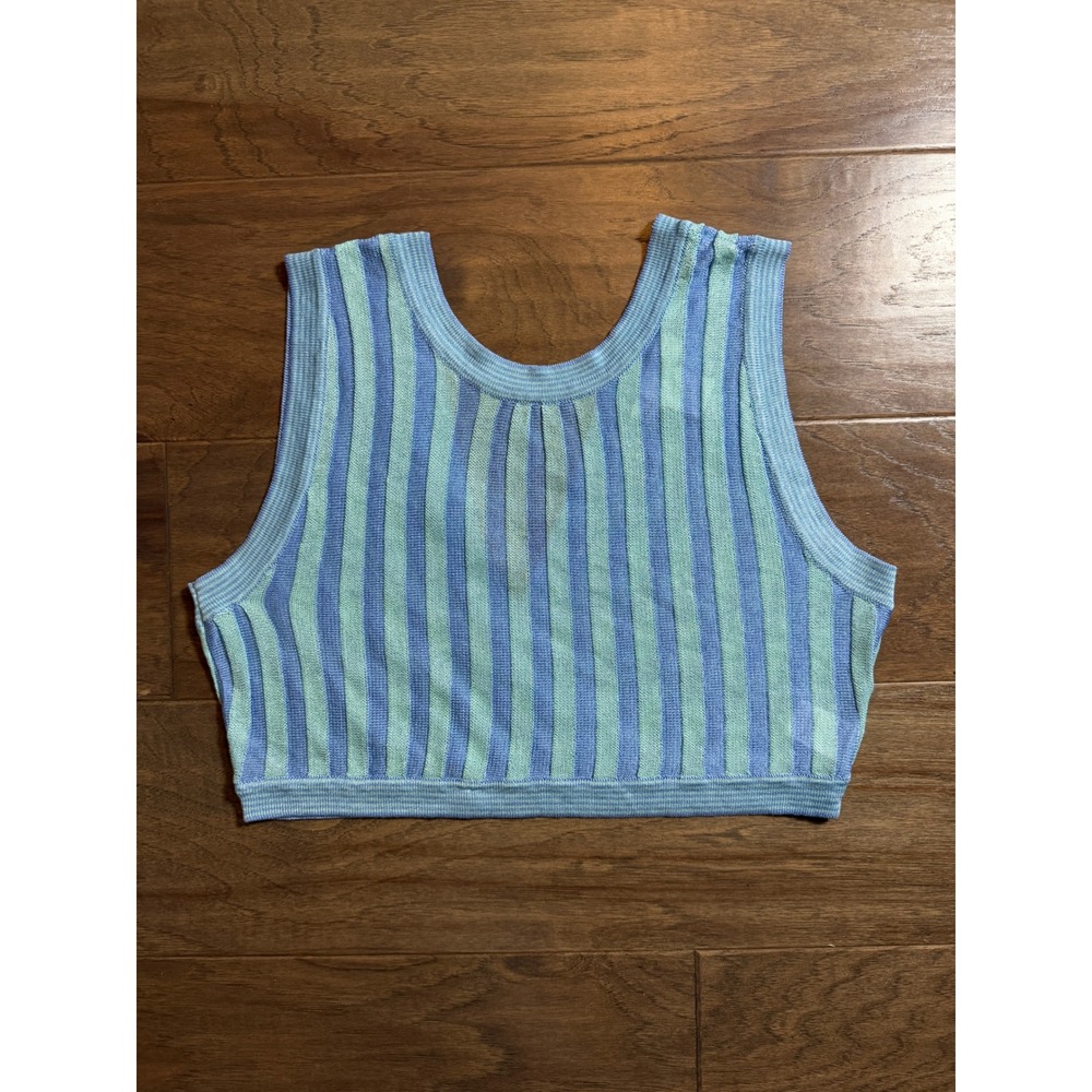 House of Harlow 1960 Blue Mint Striped Reversible Knit Crop Top XS